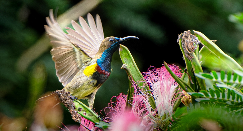 Culture and Tourism news bulletin No.197