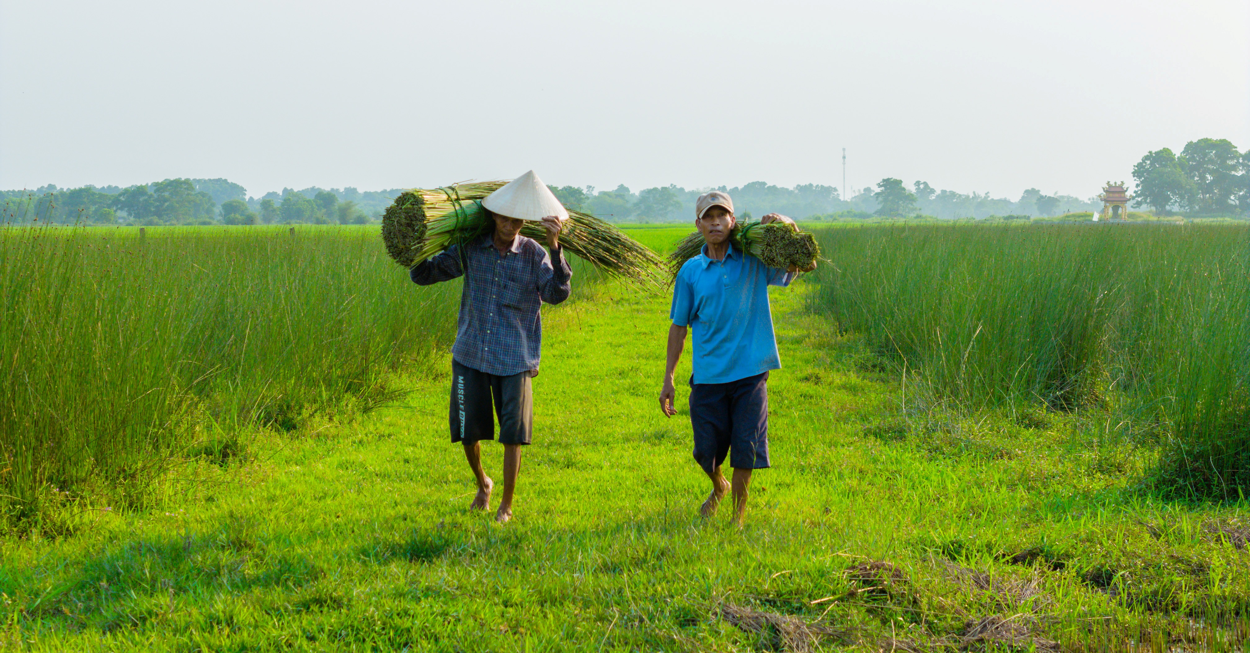 Culture and Tourism news bulletin No.199