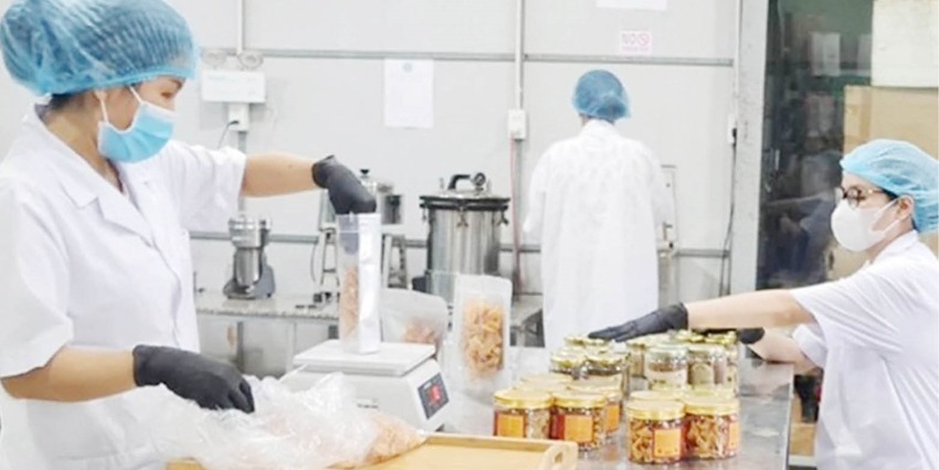 Hue City Promoting creativity and young startups