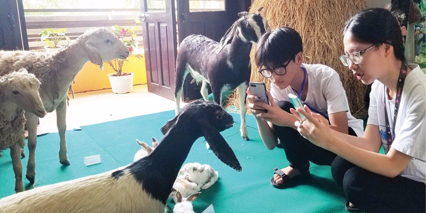 The Central Coast Museum of Nature In need of a proper space
