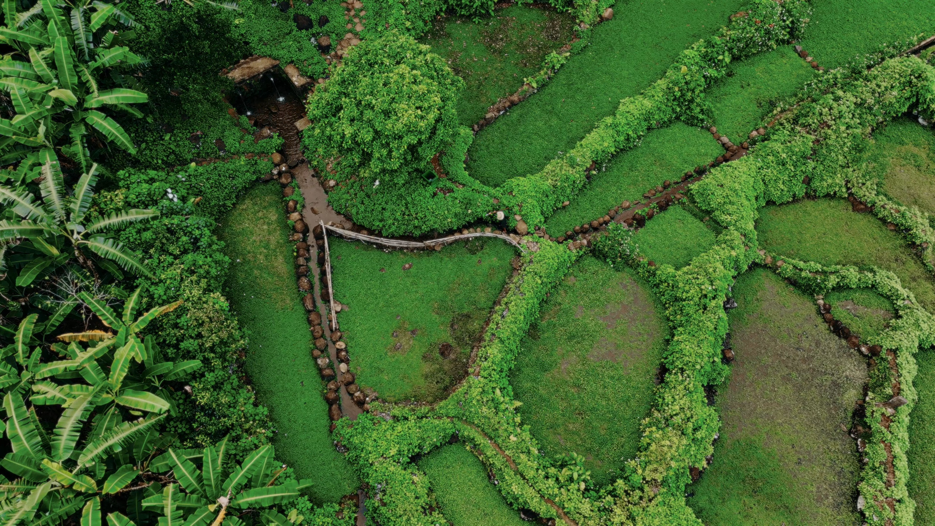 Culture and Tourism news bulletin No 207