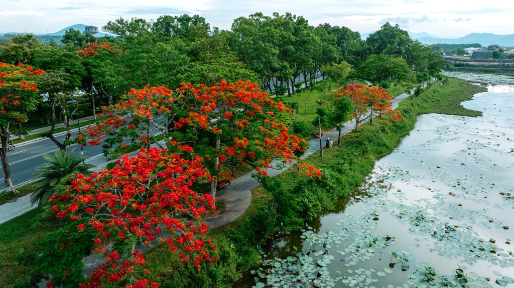 Culture and Tourism news bulletin No 210