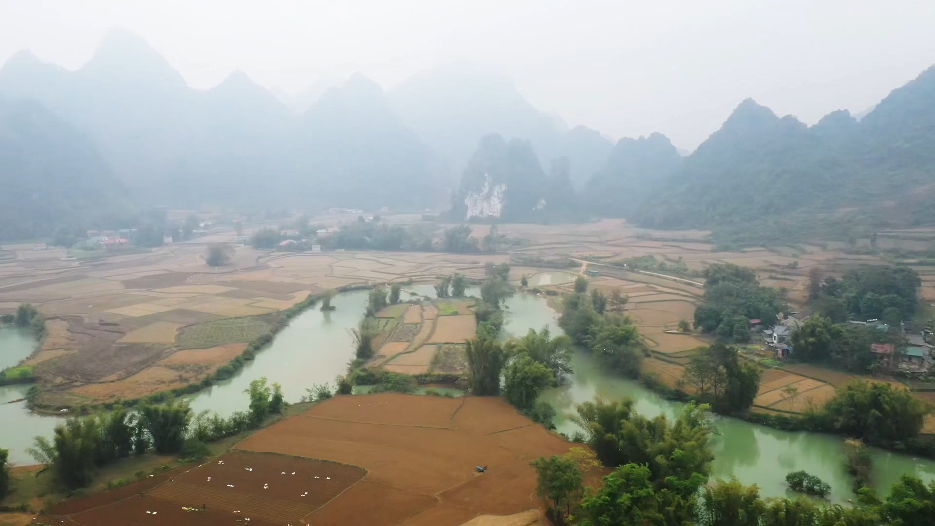 Phong Nam - Peaceful and Dreamy