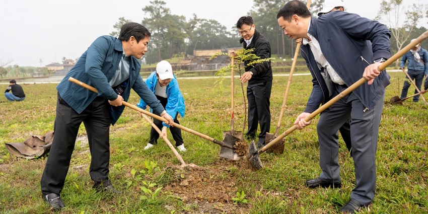 More than 1,000 native and shade trees planted at Emperor Gia Long’s mausoleum
