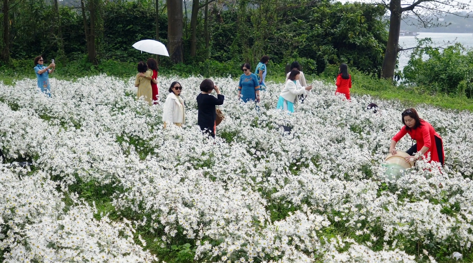 Culture and Tourism news bulletin No 244