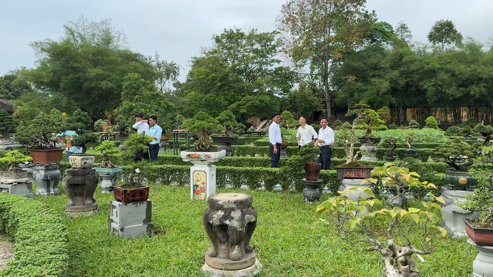 Splendid exhibition of bonsai and orchids at Hue Imperial Citadel