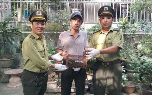 A rare and precious water dragon received