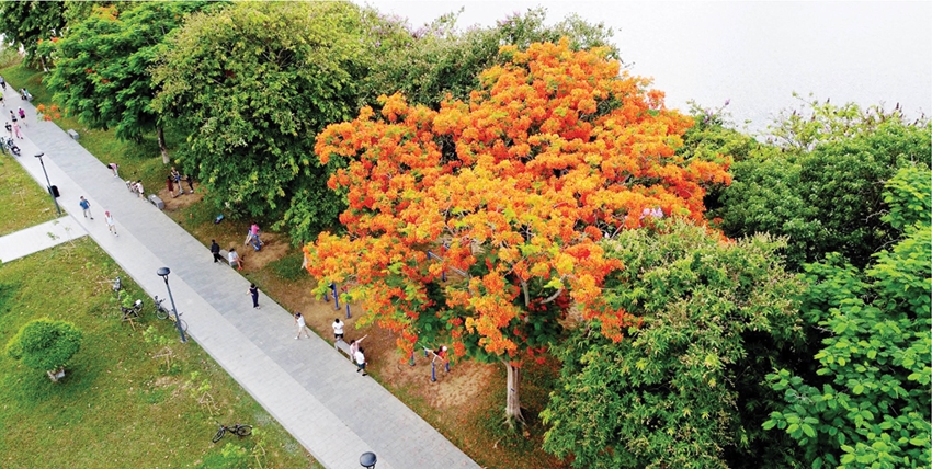 Honoring the beauty of the Perfume River