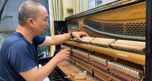 The Doctor for the “King of Instruments”