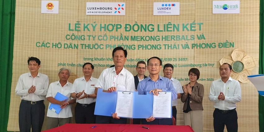 Agreement signed for hibiscus flowers production and consumption