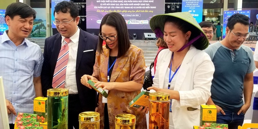 Harnessing the medicinal value of Bo Chinh ginseng to create a health-oriented material-product-gift set