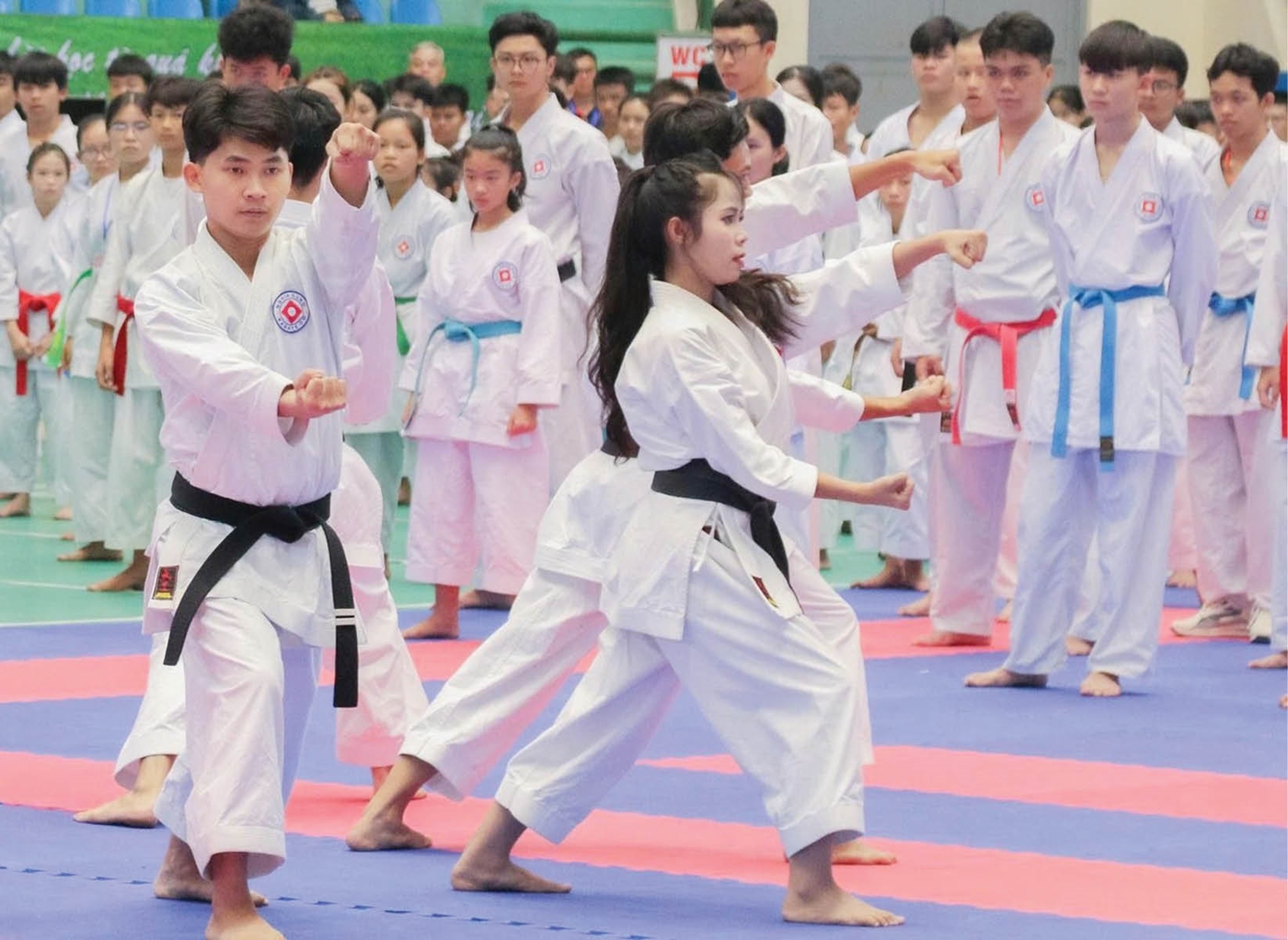 Identity of Nghia Dung Karate-Do