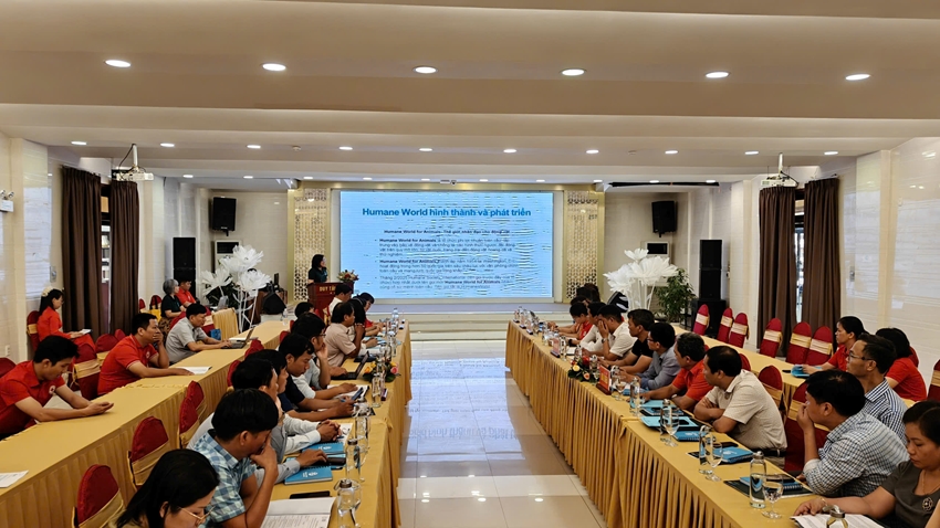 Disaster response for animals in Vietnam