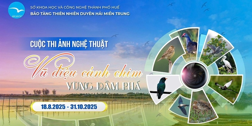 “Dance of the Lagoon Birds” art photography contest officially launched