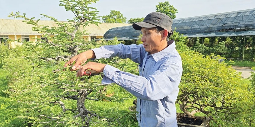 Sowing green seeds in the heart of heritage