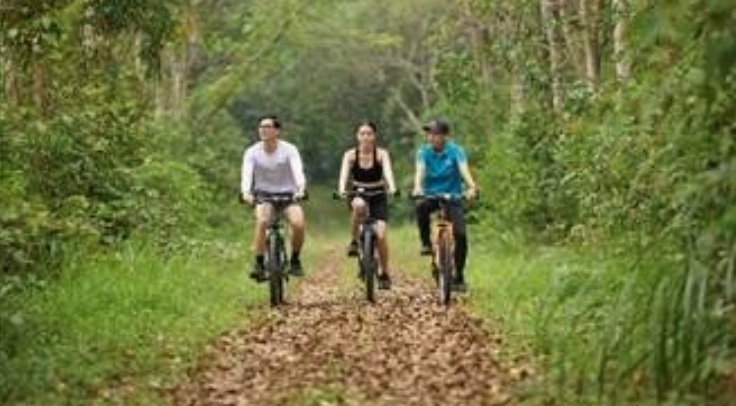 Many unique activities at Hue Wellness Tourism Week 2025