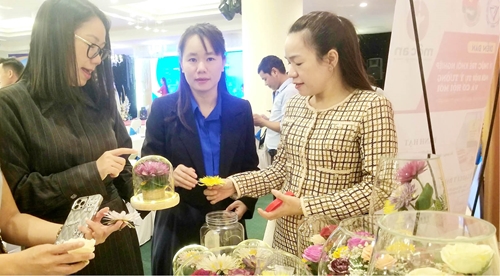 Taking startup projects further