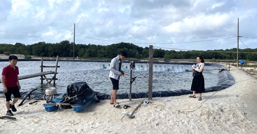 Enhancing shrimp farming skills with digital technology