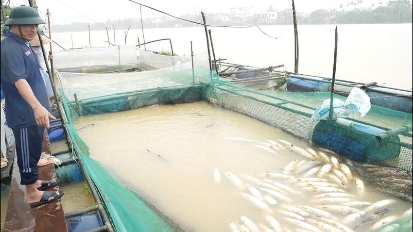 Written by the water of Bo River