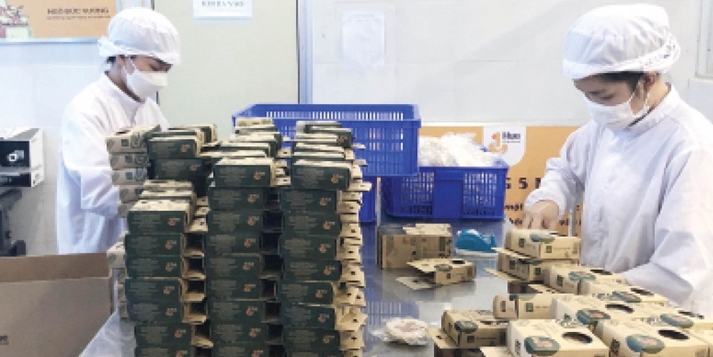 A lever to bring Hue’s products to the world