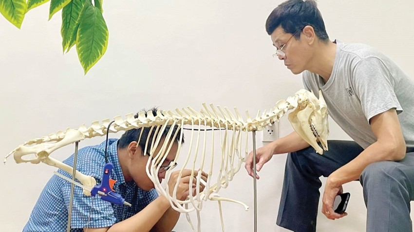 The Journey of Specimen Restoration From Preparation Lab to Exhibition Space