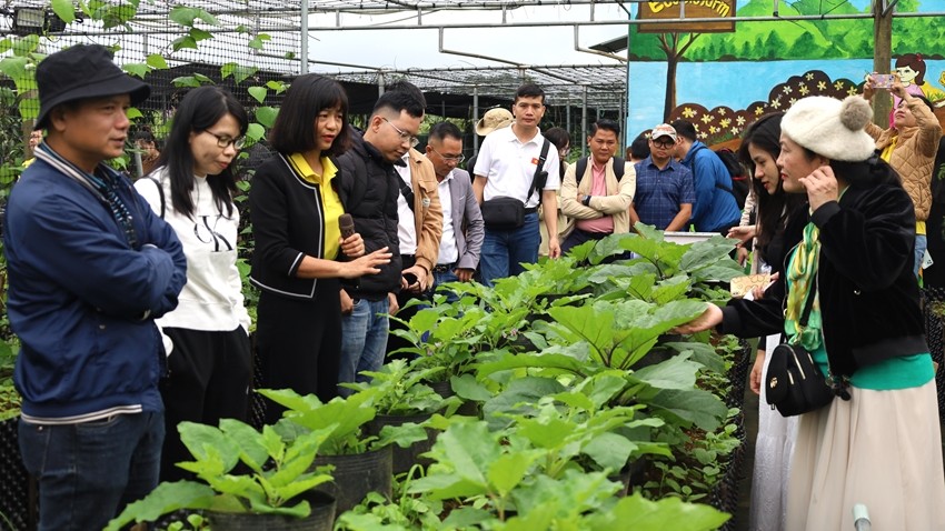 35 travel agencies survey Hue’s rural tourism products