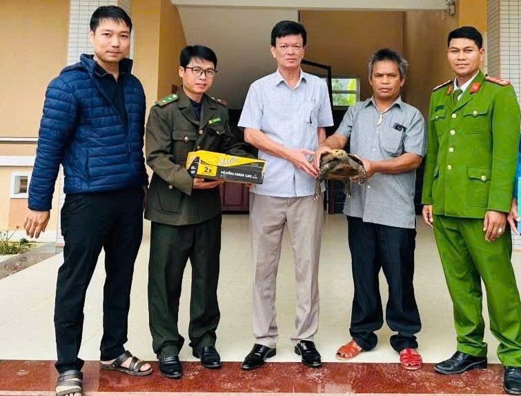 Rare impressed tortoise released back into natural forest