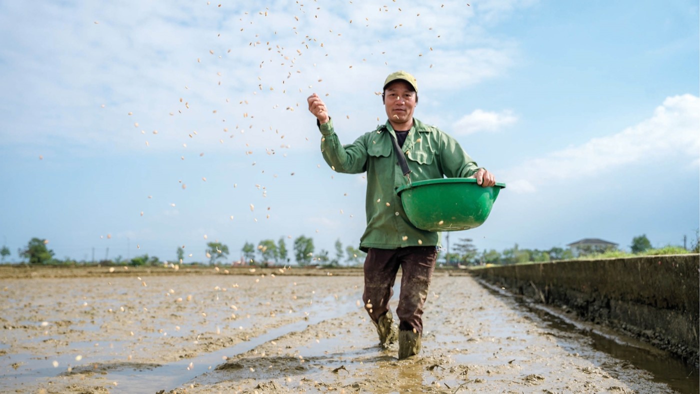 Winter-Spring Crop The Season of Prosperity