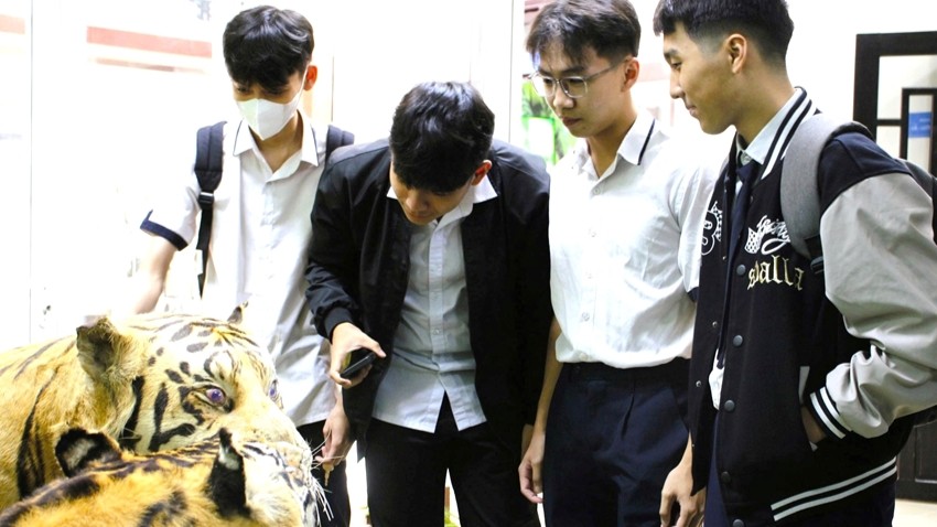 Students Experience Hands-on Learning at the Museum of Nature in the Central Coastal Region