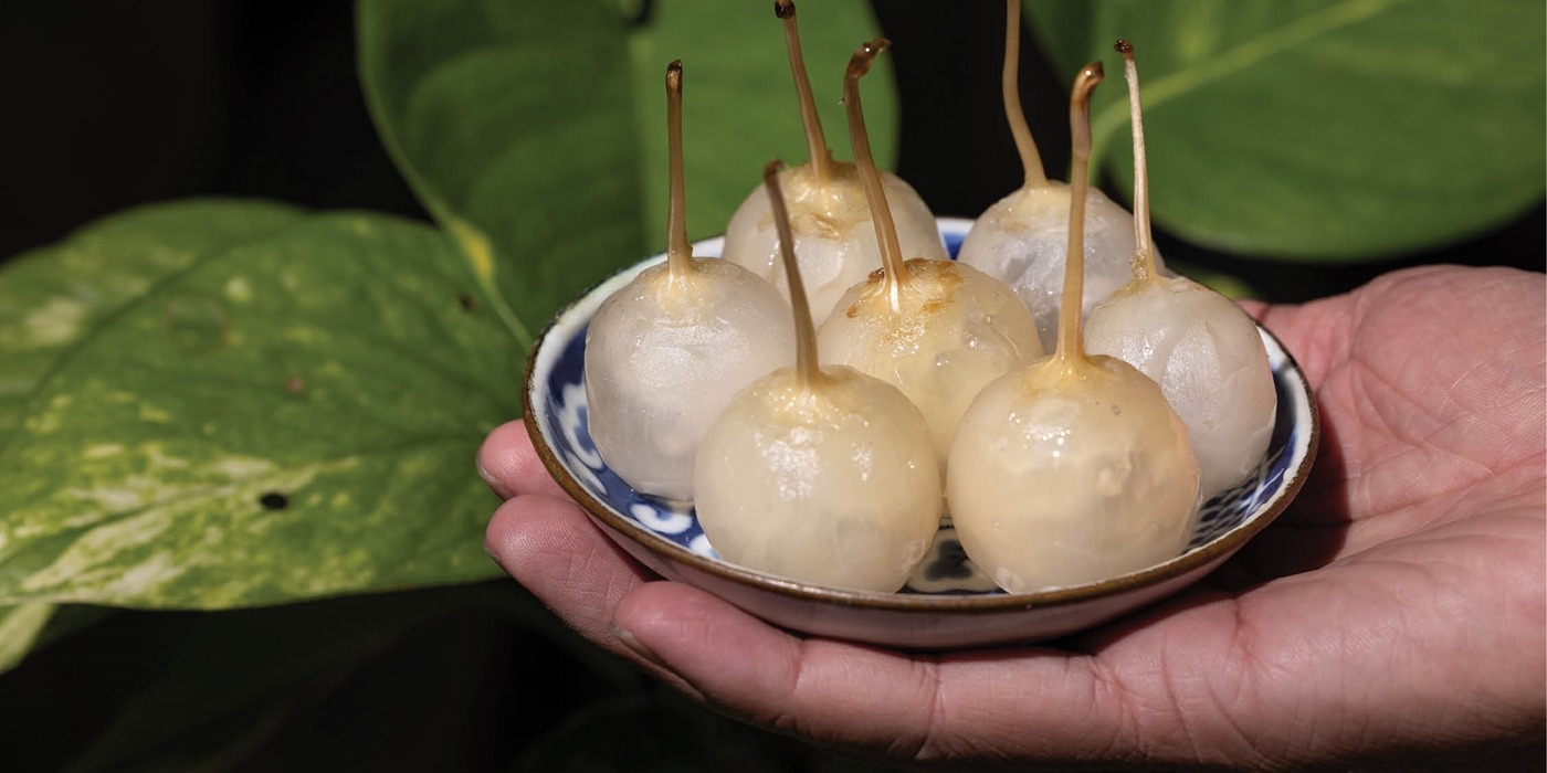 The delicacy of white eggplant preserves