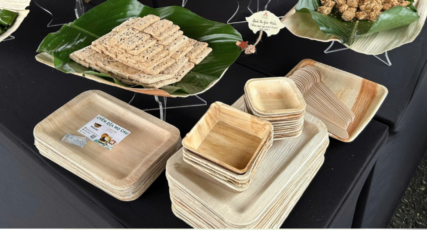 “Green startup” from… areca sheaths