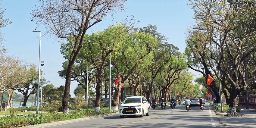 Urban trees added to the digital map