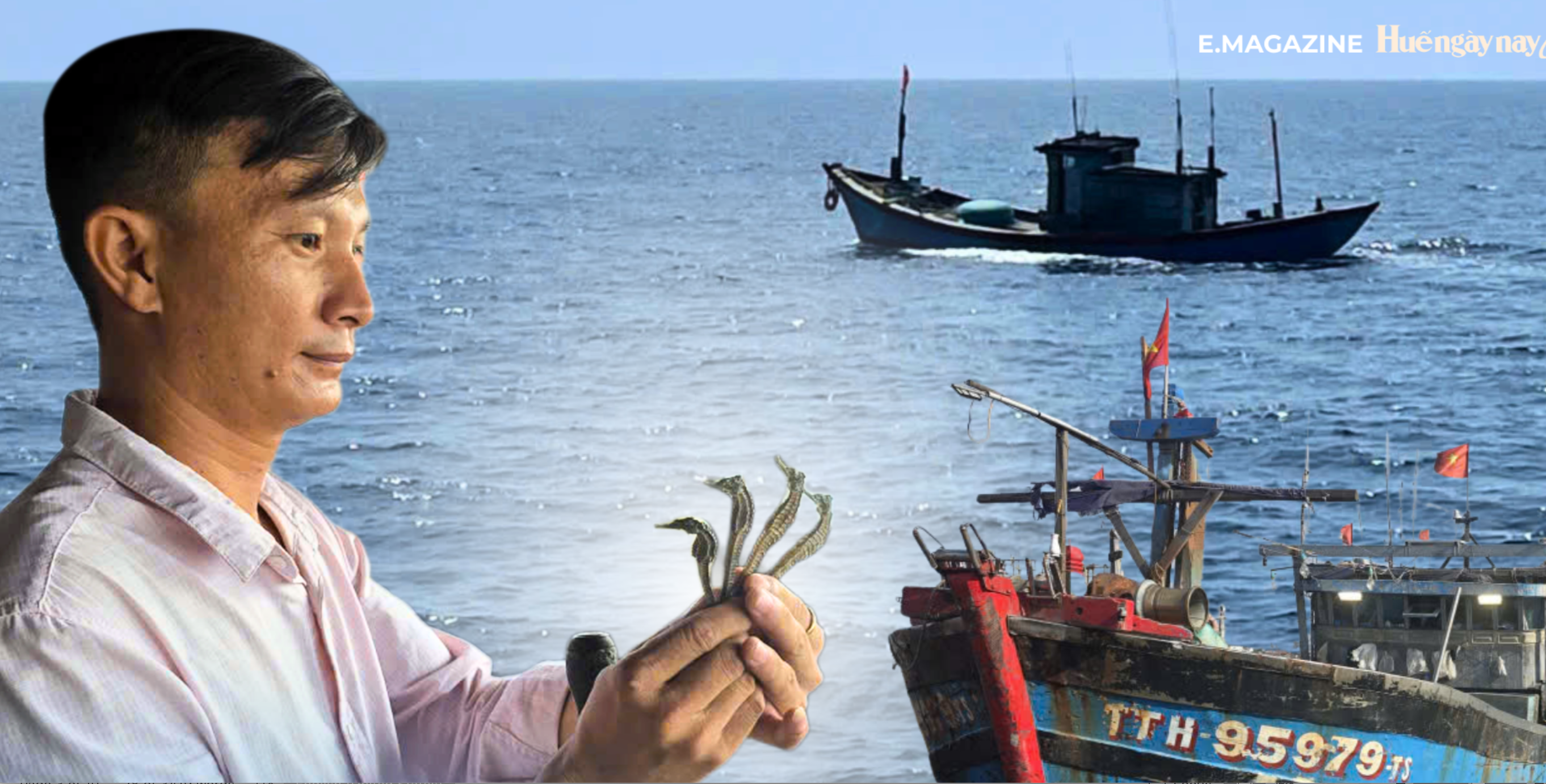 Seahorses - the “treasure” of the ocean