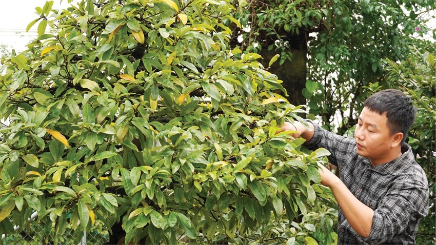 Startup with Hue Yellow Apricot