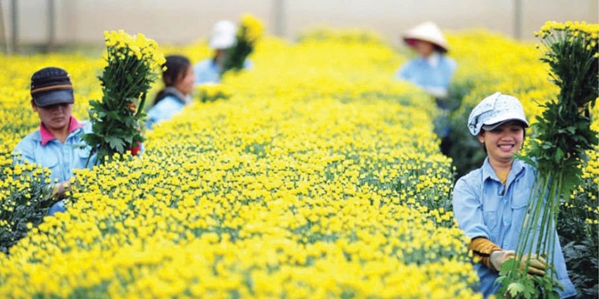 Preserving the spirit of Hue far from home