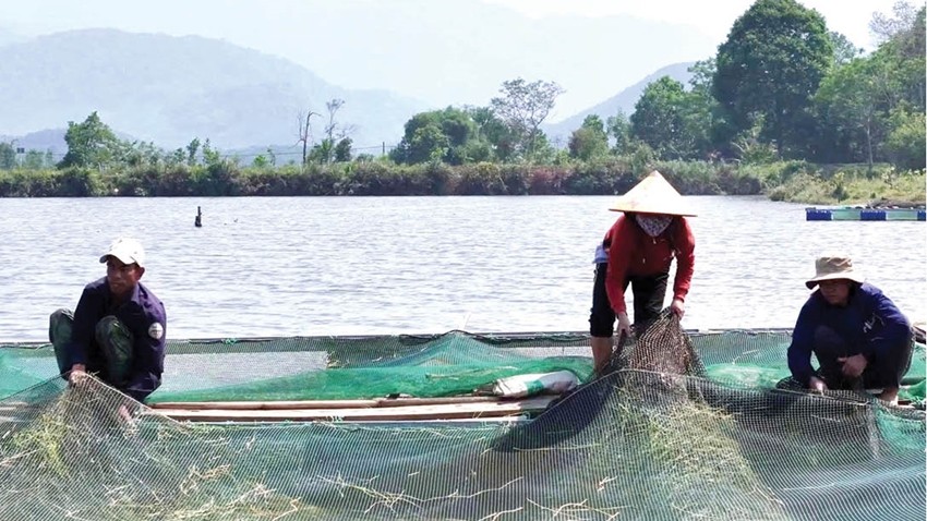 Cage fish farming in a border river