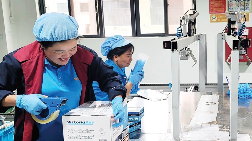 “Digital” and “green” to enhance productivity and increased value