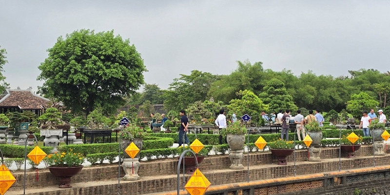 Nearly 1,500 ornamental plant masterpieces gather at Hue Imperial Palace