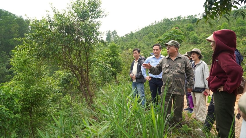 “Restoring Native Forests - Initial Results and Development Prospects”