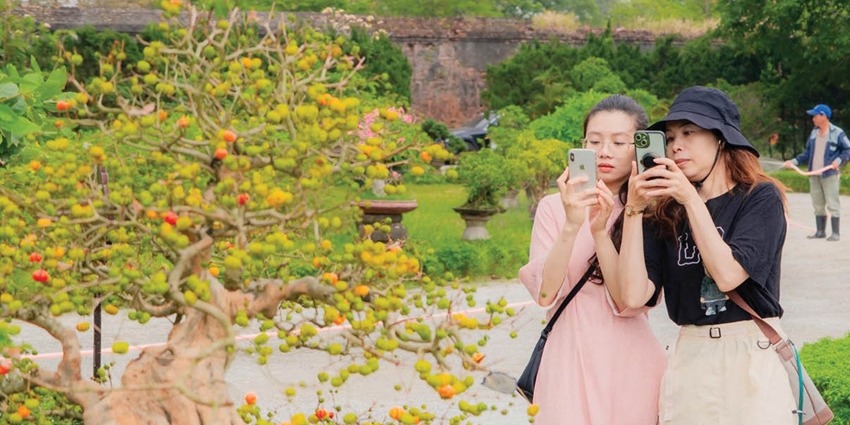 Hue gardens and ornamental plants – another attraction of the heritage city