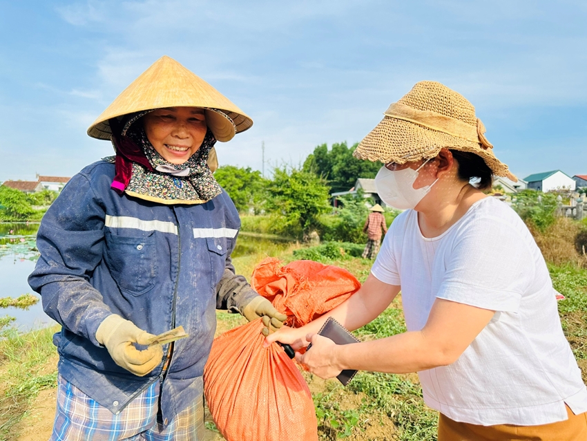 Golden season in Dan Dien peanut fields
