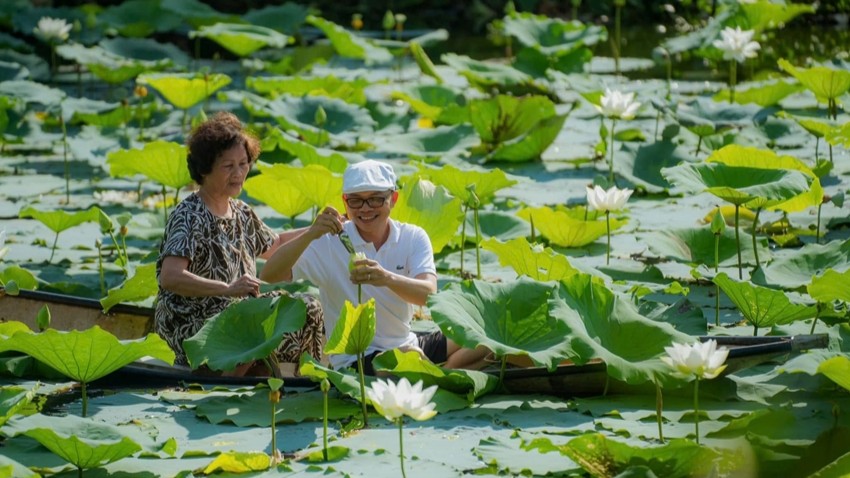 Hue Lotus Festival to Kick off from June 19 to 21