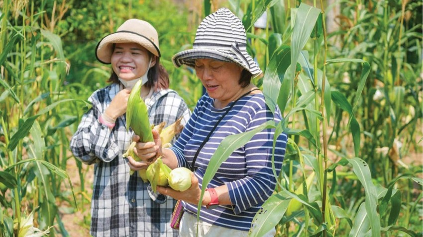 Encouraging Longer Stays in Doi Village