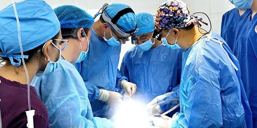 Facial and jaw deformity surgeries performed for 13 patients