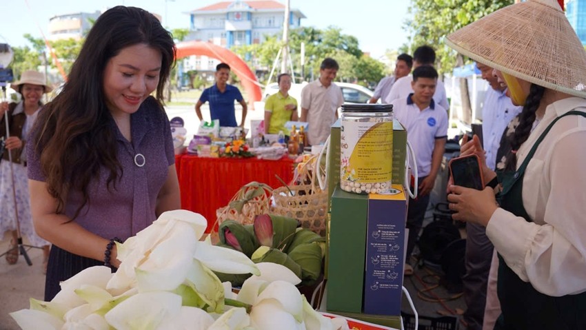 Hue Strengthens Business Matching Activities with Other Provinces and Cities in 2026