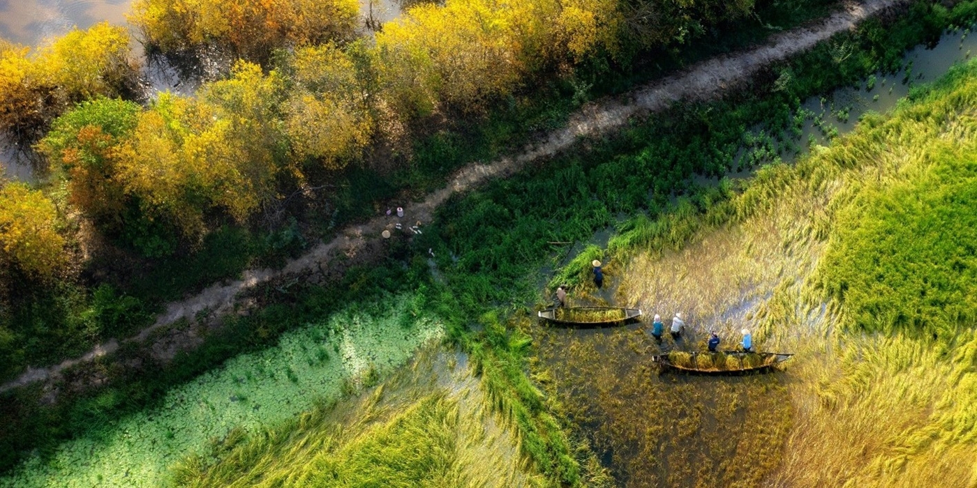 The first-ever City Trail race with 2 000 runners at Ru Cha mangrove forest