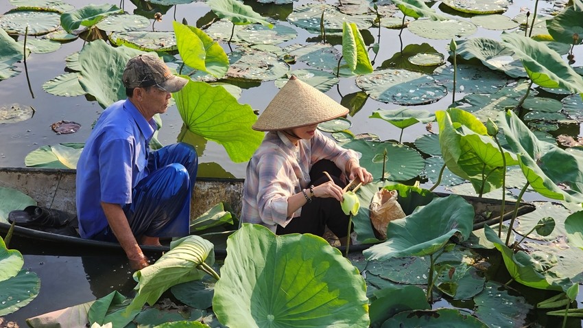 Rising from mud like lotus