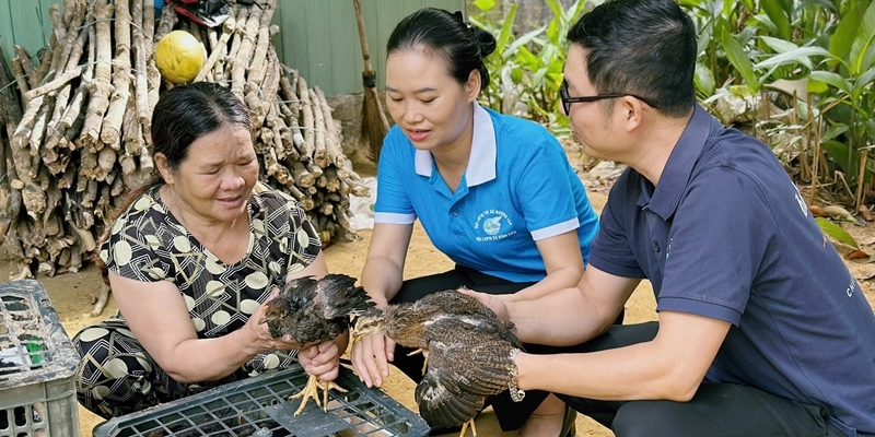 Livelihood support provided to disadvantaged women members