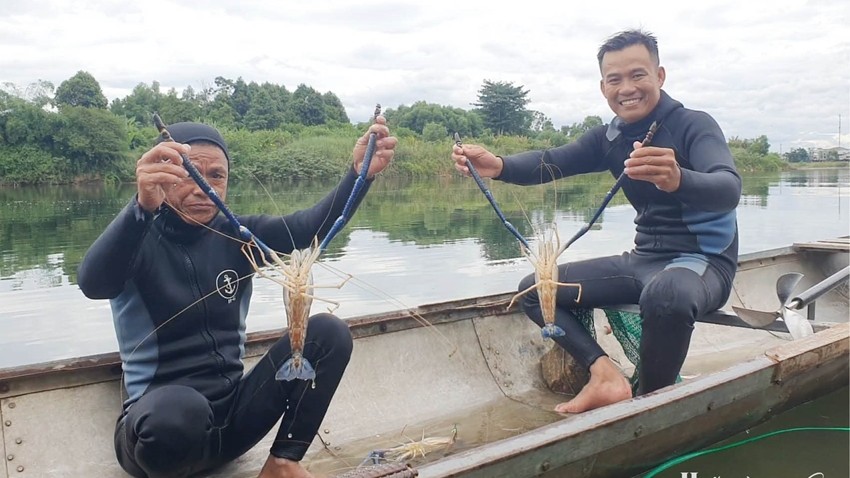 A Hunt for Giant Freshwater Prawn from the Bo River