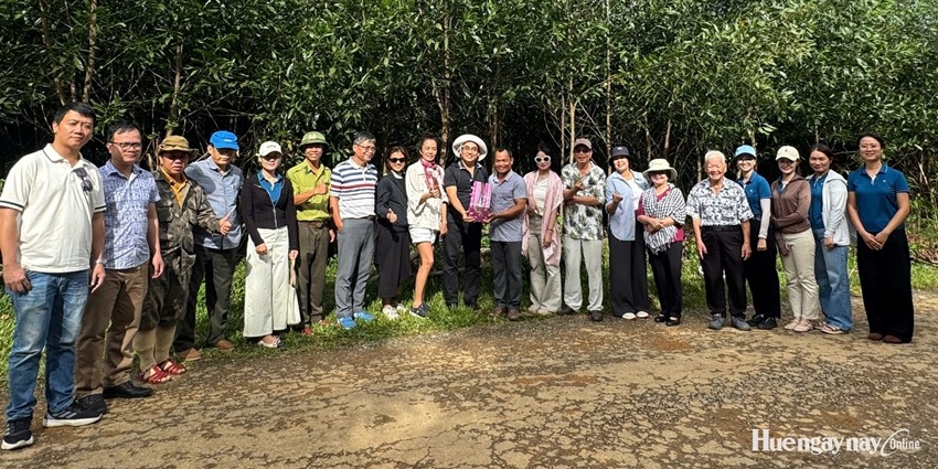 Promoting sustainable forestry development towards Net Zero 2050